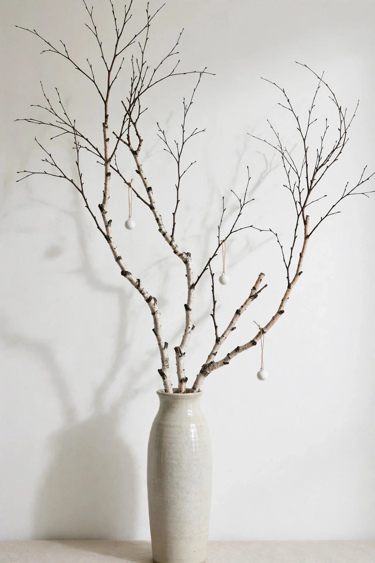 Bare branches in a ceramic vase against a white wall